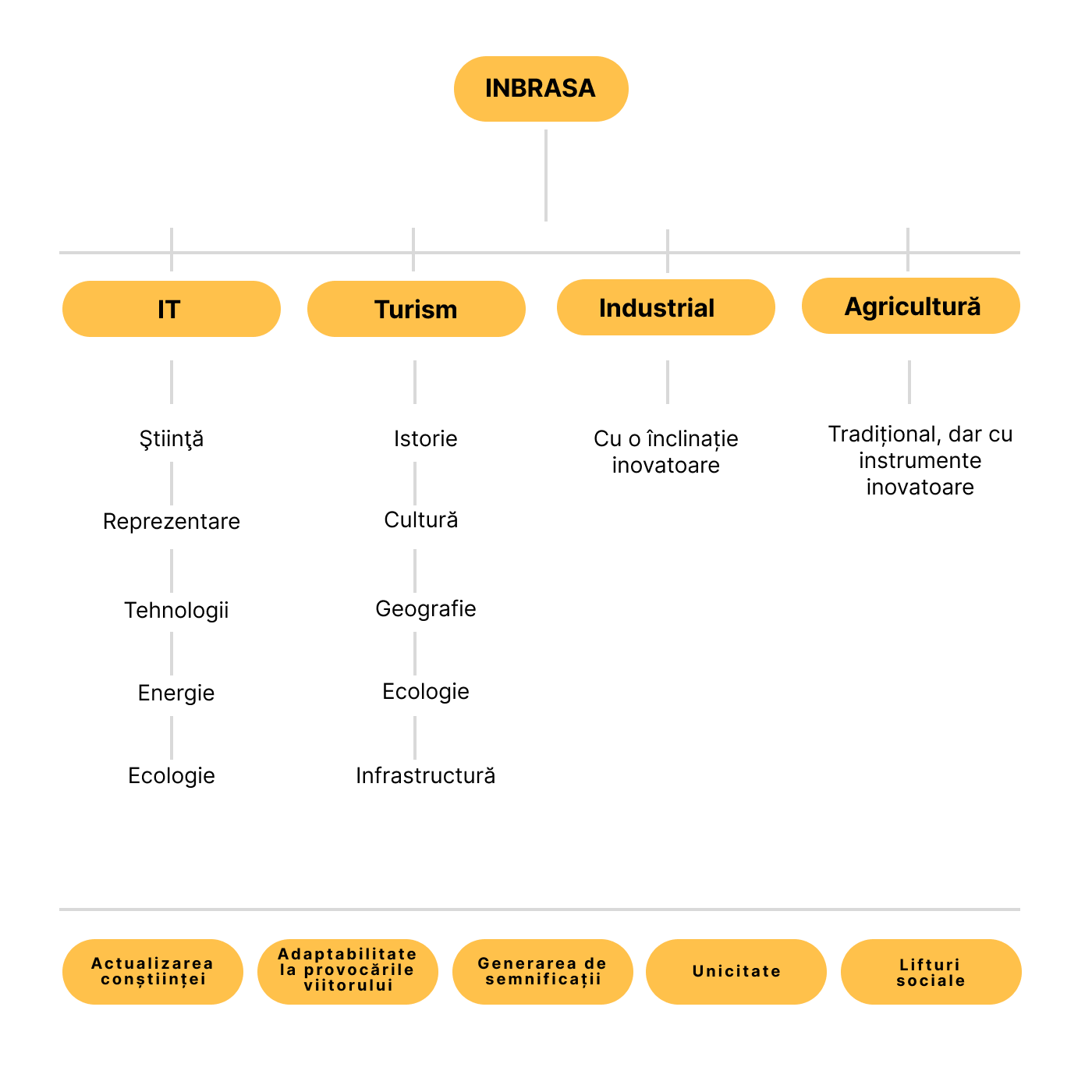 MATRICEA<br/>DE DEZVOLTARE