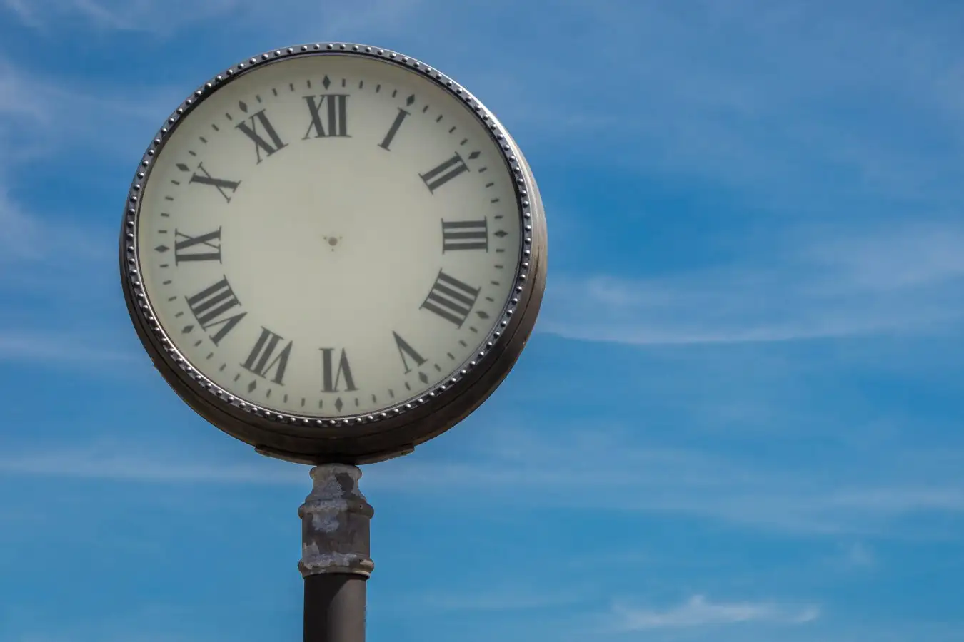 Pandemic - Reality Test