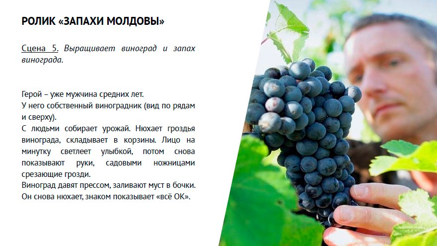 Стратегическое видение РМ: формирование страны как бренда