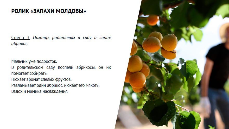 Стратегическое видение РМ: формирование страны как бренда