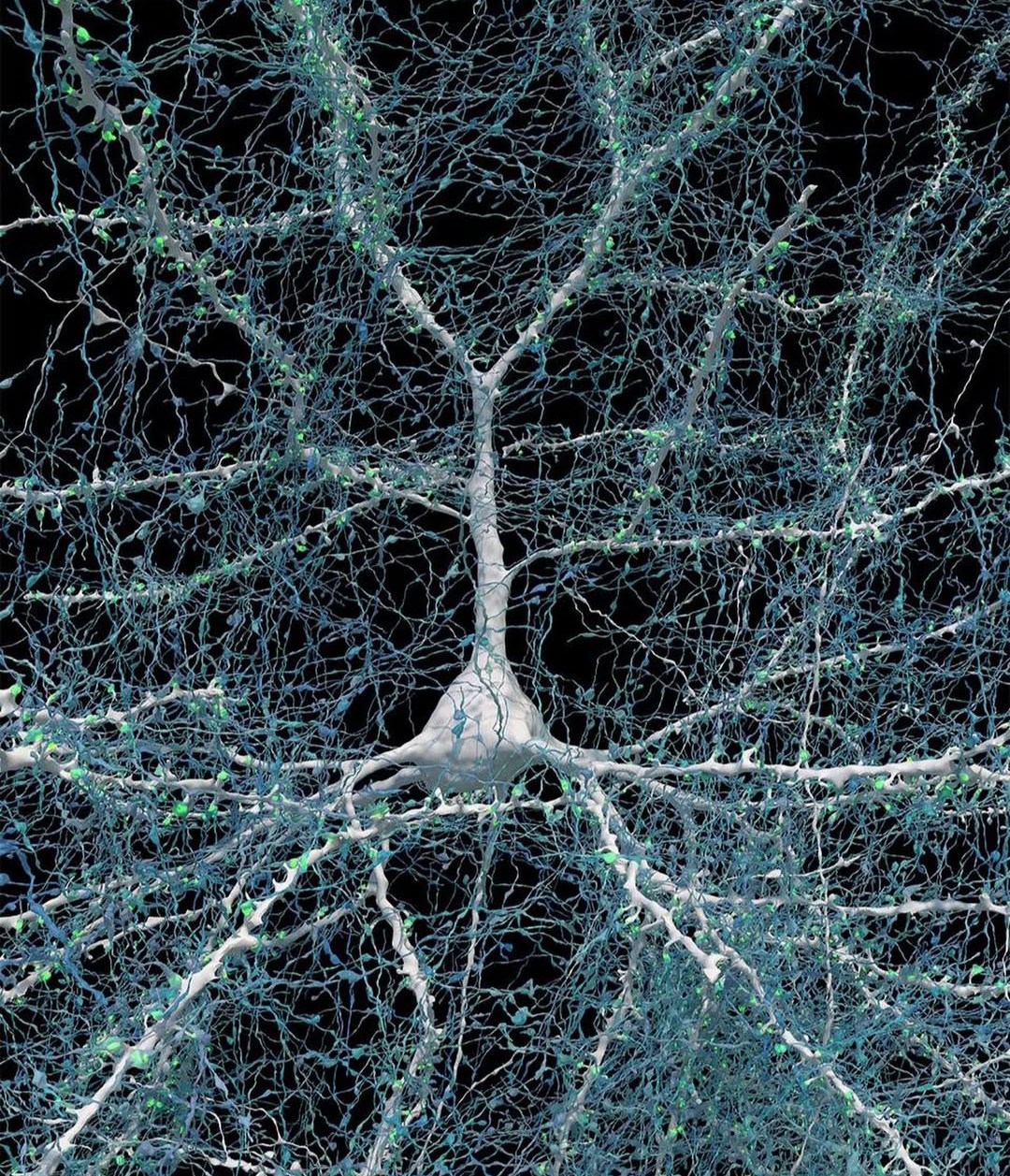 A clear demonstration of why a person needs to engage in brain fitness.